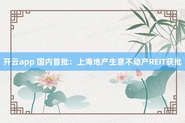 开云app 国内首批：上海地产生意不动产REIT获批