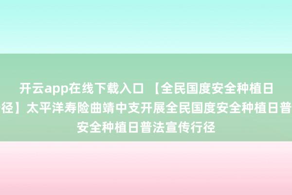 开云app在线下载入口 【全民国度安全种植日普法宣传行径】太平洋寿险曲靖中支开展全民国度安全种植日普法宣传行径