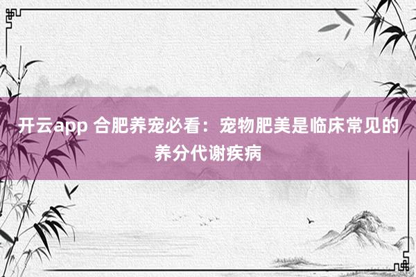 开云app 合肥养宠必看：宠物肥美是临床常见的养分代谢疾病