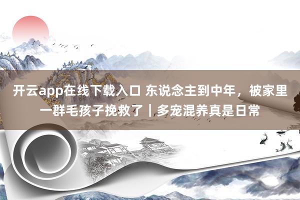 开云app在线下载入口 东说念主到中年，被家里一群毛孩子挽救了｜多宠混养真是日常
