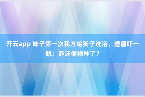 开云app 妹子第一次我方给狗子洗浴，遵循吓一跳：咋还便物种了？