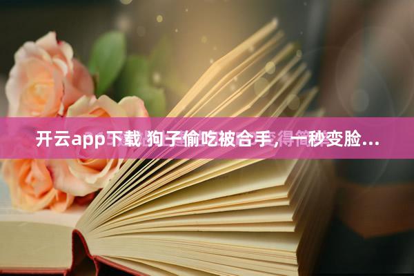 开云app下载 狗子偷吃被合手，一秒变脸...