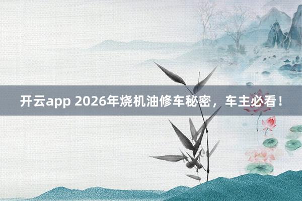 开云app 2026年烧机油修车秘密，车主必看！